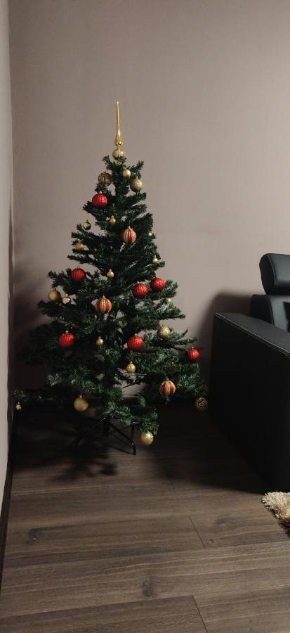 בראשוב Home Apartament מראה חיצוני תמונה